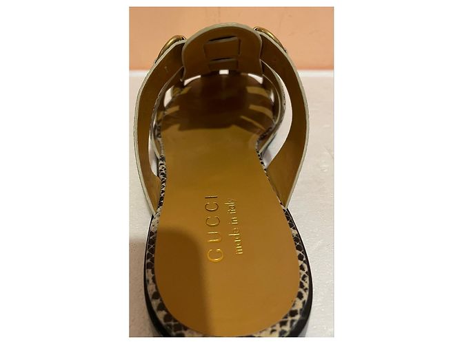 Sandálias Gucci couro efeito pitão Impressão em python Gold hardware - vista 15