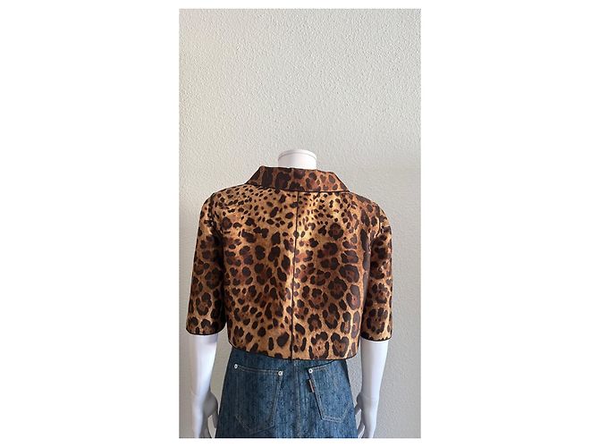 Chaqueta corta Dolce & Gabbana con estampado de leopardo Castaño - vista 2