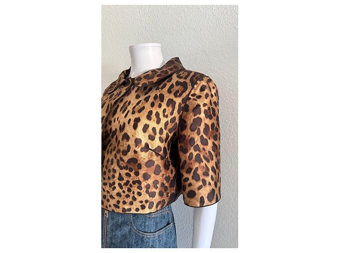 Chaqueta corta Dolce & Gabbana con estampado de leopardo Castaño - vista 4