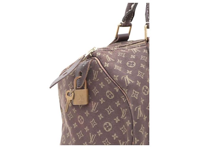 Louis Vuitton Bolso Tote Monogram Mini Rinse Speedy Castaño - vista 5