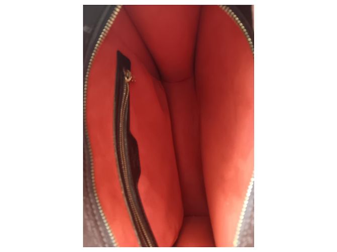 Borsa Louis Vuitton Damier Ebene Professionale Marrone - vista 5