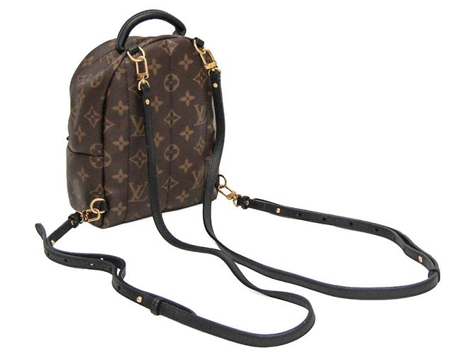 Zaino Louis Vuitton Monogram Palm Springs Mini M41562 Marrone - vista 2