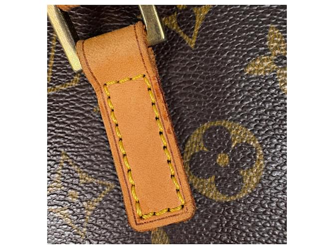 Borsa Louis Vuitton Vavin PM Marrone Monogramma - vista 4
