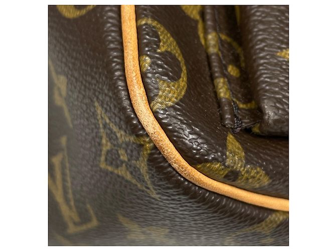 Borsa a tracolla Louis Vuitton Viva Cite GM Marrone Monogramma - vista 3