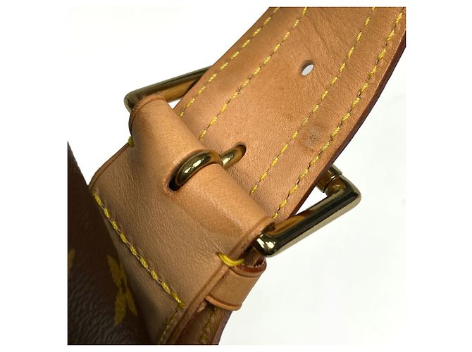 Borsa a tracolla Louis Vuitton Viva Cite GM Marrone Monogramma - vista 5