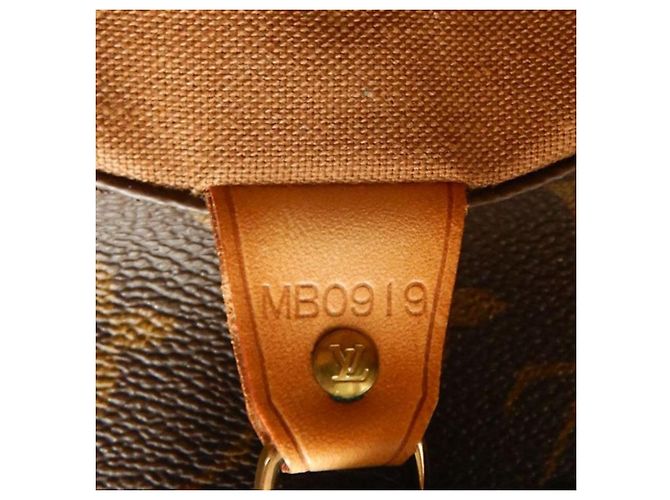 Bolso de Compras Louis Vuitton Marrón Monogram Castaño - vista 8