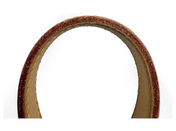 Borsa Louis Vuitton Rosewood Avenue Bordò - vista 5