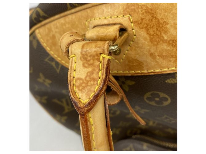 Borsa Boston Monogram Evasion Louis Vuitton Marrone - vista 7