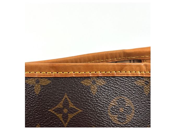Borsa a Spalla Louis Vuitton Delightful PM Marrone - vista 5