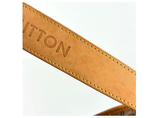 Borsa a Spalla Louis Vuitton Delightful PM Marrone - vista 6