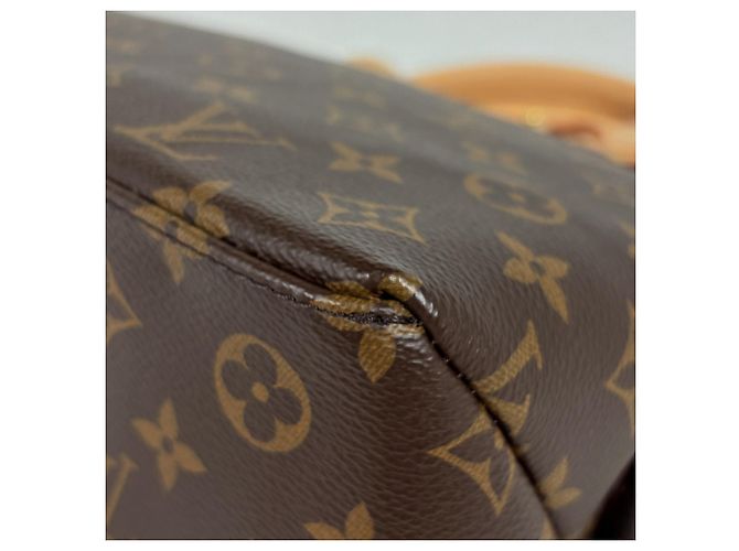 Borsa Louis Vuitton Petit Palais PM Marrone - vista 3