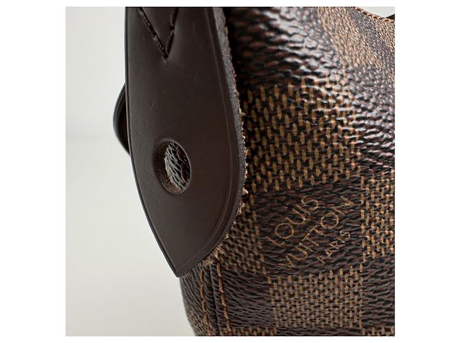 Borsa Tote Louis Vuitton Iena PM Marrone - vista 4