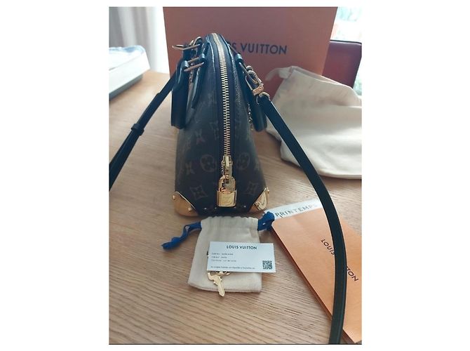 Louis Vuitton Alma Trunk BB Monogram Borsa Marrone Nero Monogramma - vista 2