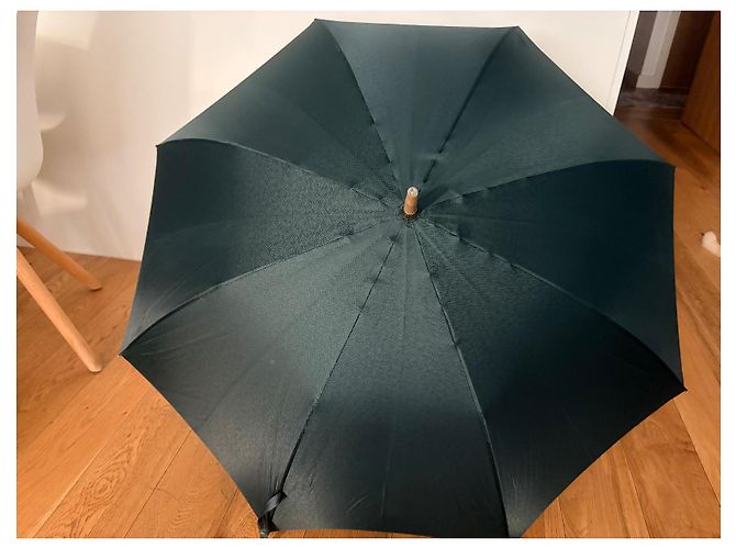Louis Vuitton Monogram Umbrella in Dark Green Golden - view 4
