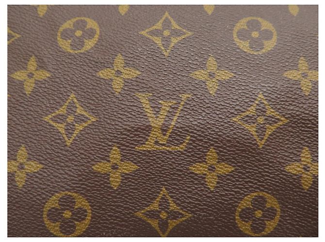BORSA LOUIS VUITTON SPEEDY 40 M41522 IN TELA MONOGRAM Marrone - vista 6