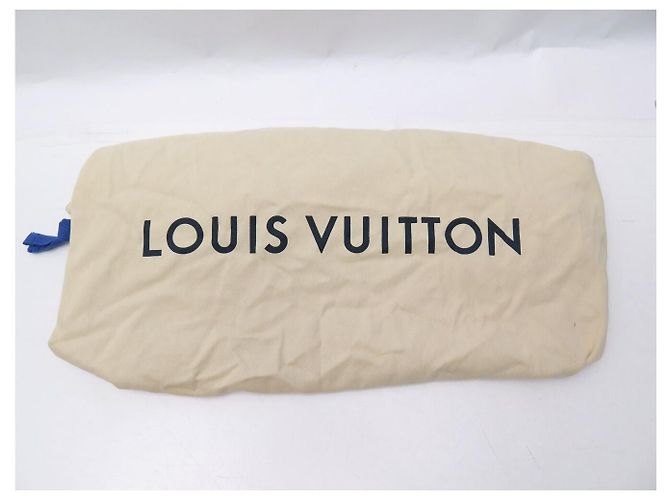 BORSA LOUIS VUITTON BLEECKER BOX in pelle vernice con tracolla handbag Grigio - vista 18