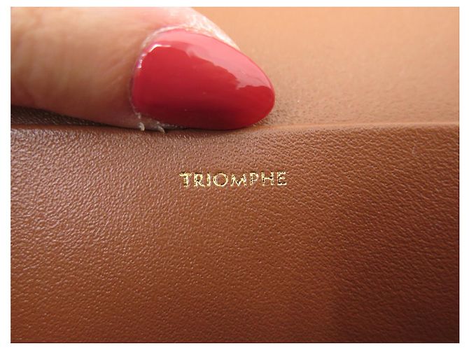 Céline NUOVA BORSA A SPALLA CELINE TRIOMPHE CLASSIC 191242 TELA E CALF LEATHER Marrone - vista 12