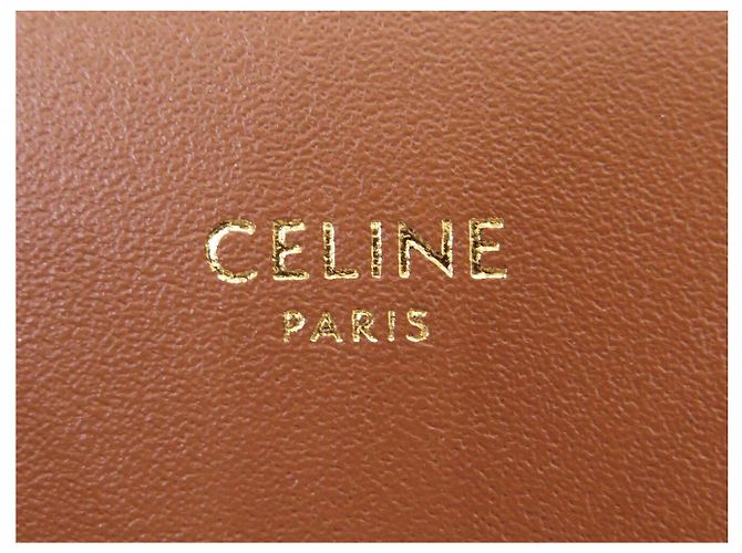 Céline NUOVA BORSA A SPALLA CELINE TRIOMPHE CLASSIC 191242 TELA E CALF LEATHER Marrone - vista 9