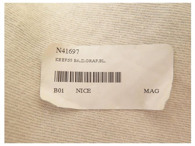 NUOVO SACCA DA VIAGGIO LOUIS VUITTON X NEMETH KEEPALL 55 DAMIER GRAPHITE CON TRACCOLLA Grigio - vista 23