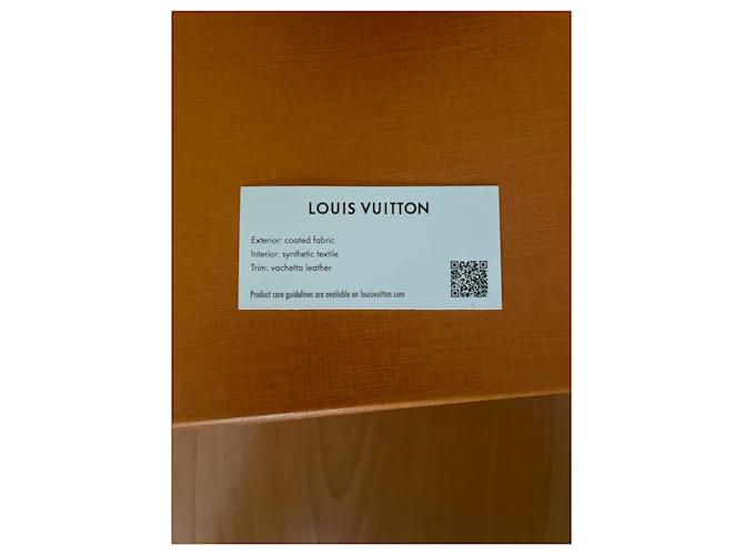 Borsa Louis Vuitton Monogram Dolphin Marrone Monogramma - vista 6