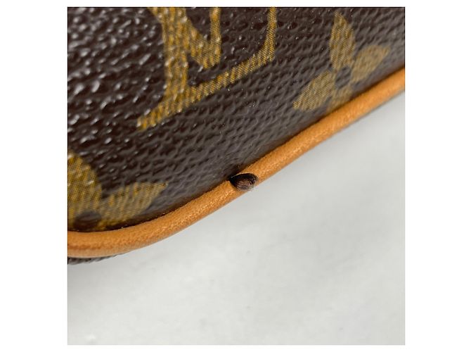 Borsa a Spalla Louis Vuitton Viva Cite MM Marrone - vista 4