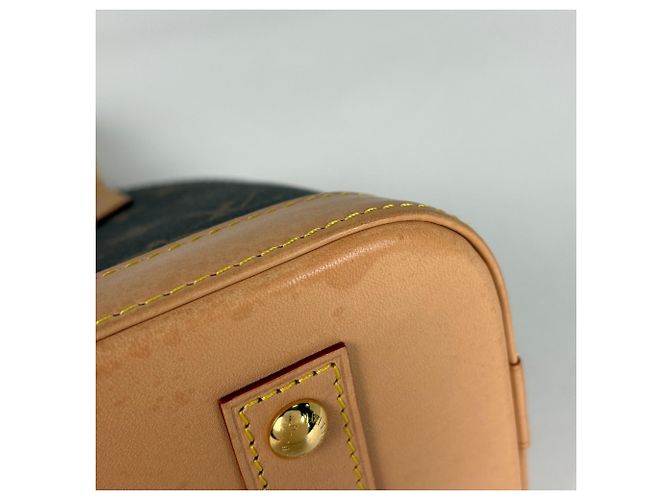 Borsa Louis Vuitton Alma BB Marrone - vista 3