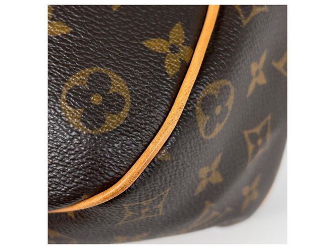 Borsa a Spalla Louis Vuitton Galliera PM Marrone - vista 3