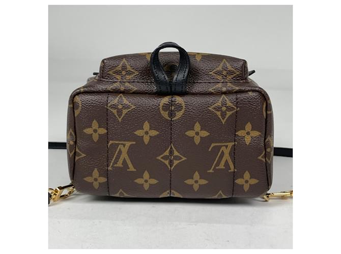 Palm Springs Borsa a Spalla Louis Vuitton Monogram Marrone - vista 3