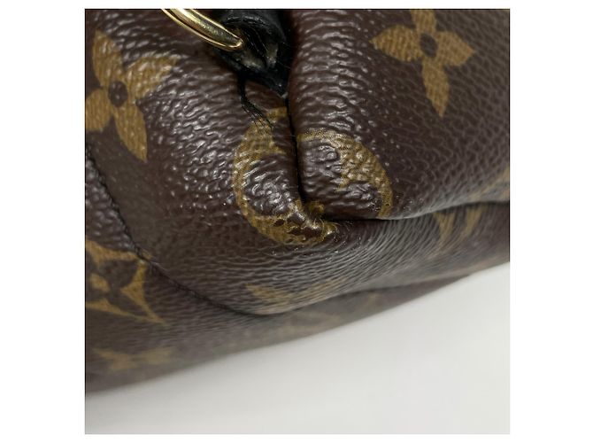 Palm Springs Borsa a Spalla Louis Vuitton Monogram Marrone - vista 4