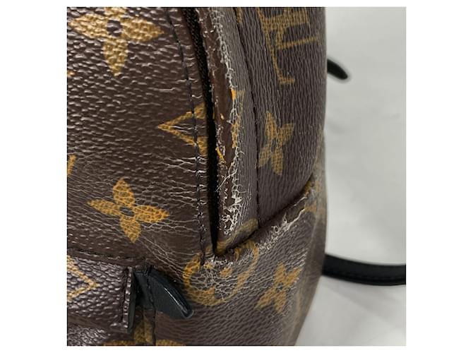 Palm Springs Borsa a Spalla Louis Vuitton Monogram Marrone - vista 5