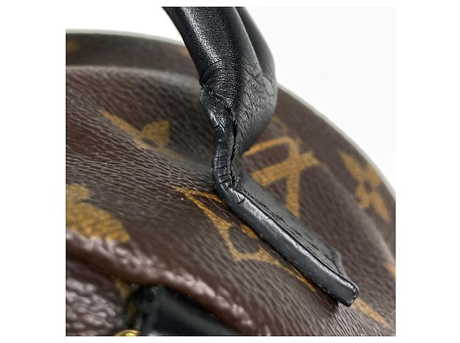 Palm Springs Borsa a Spalla Louis Vuitton Monogram Marrone - vista 6