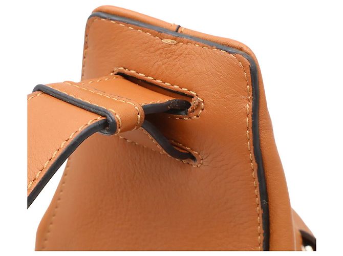 Piccola borsa in pelle Loewe Anton Marrone - vista 5