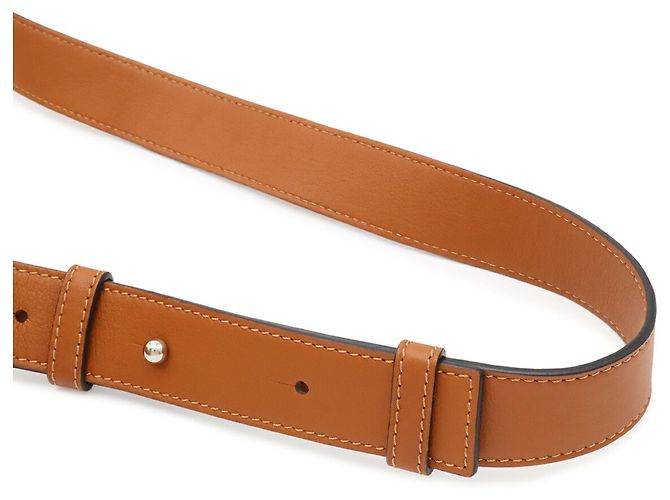 Piccola borsa in pelle Loewe Anton Marrone - vista 6