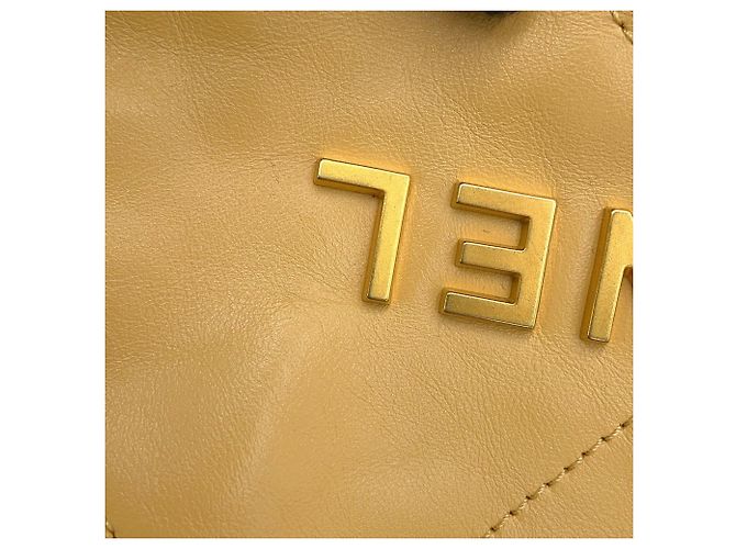 Borsa Chanel 22 Mini Coco Mark Beige - vista 10