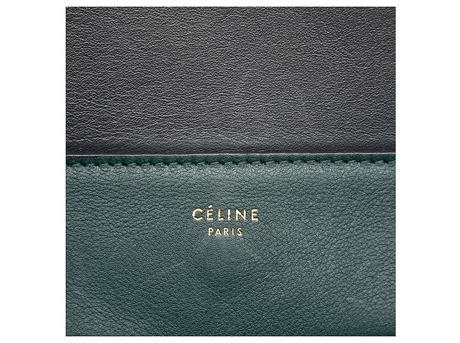Céline Borsa a tracolla Celine Green Medium Shiny Smooth Calfskin Frame Verde Verde scuro - vista 5