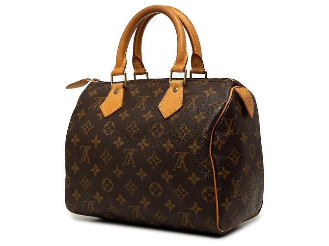Louis Vuitton Marrone Monogram Speedy 25 - vista 2