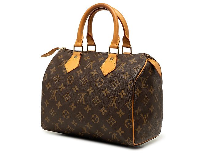 Louis Vuitton Marrone Monogram Speedy 25 - vista 2