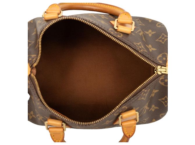 Louis Vuitton Marrone Monogram Speedy 25 - vista 4
