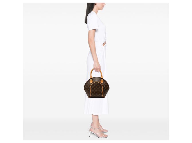 Louis Vuitton Marrone Monogram Ellipse PM - vista 6