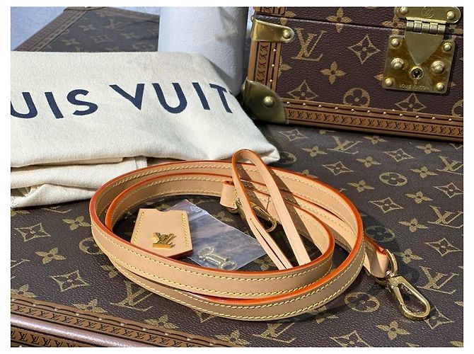 Bolsa Flappy Louis Vuitton Marrom Monograma - vista 9