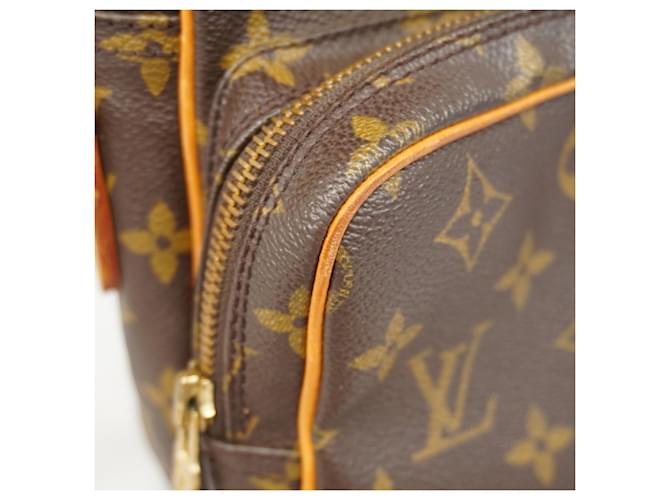 Borsa a Spalla Louis Vuitton Monogram Amazon Marrone - vista 6
