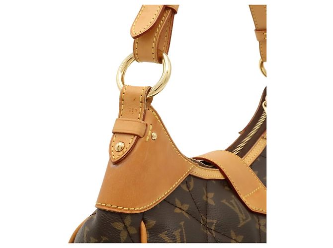 Louis Vuitton Monogram Etoile City Bag PM Marrone - vista 8