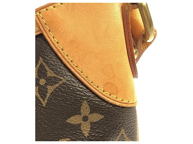 Borsa a Spalla Louis Vuitton Monogram Odeon PM Marrone - vista 6