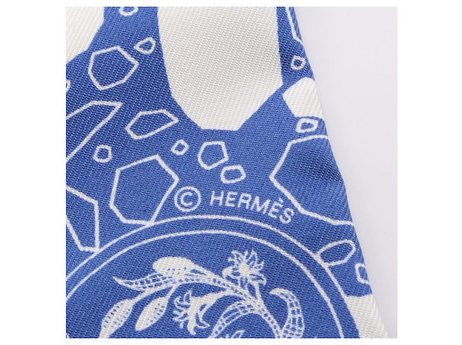Foulard Hermès Twilly LA DANSE DES AMAZONES Bianco Blu - vista 4