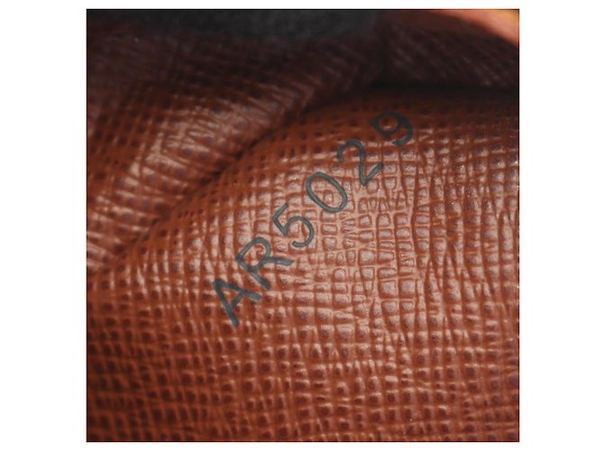 Borsa a Spalla Louis Vuitton Nile Monogram Marrone - vista 5