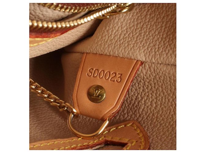 Borsa Louis Vuitton Bucket PM Monogram Marrone - vista 5