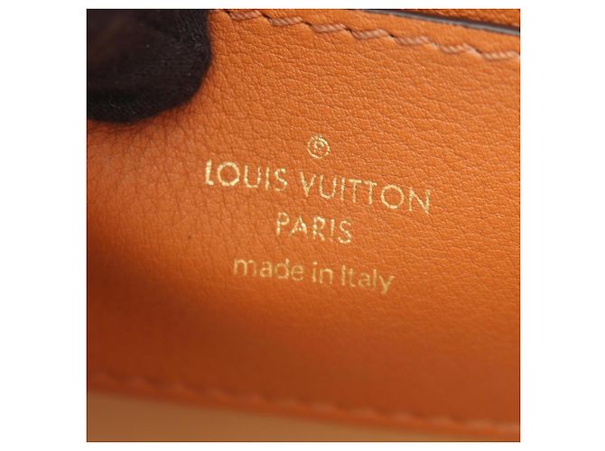 Bolso de hombro Louis Vuitton Pont Neuf Soft MM Castaño - vista 4