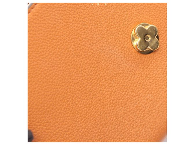 Bolso de hombro Louis Vuitton Pont Neuf Soft MM Castaño - vista 6