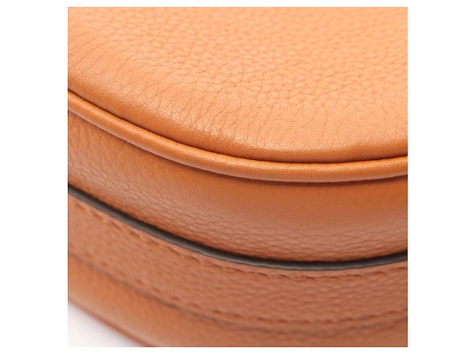 Bolso de hombro Louis Vuitton Pont Neuf Soft MM Castaño - vista 8