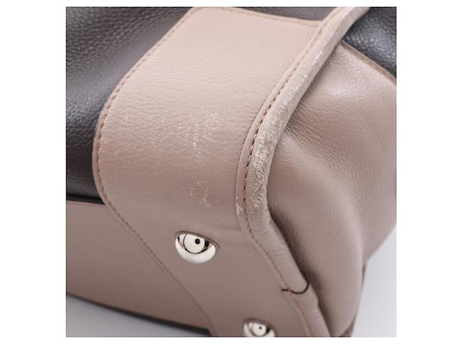 Borsa Loewe Amazona 36 Marrone Beige Porpora - vista 10